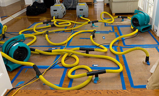 Professional Crawl Space Water Removal technician working in Hallam, PA